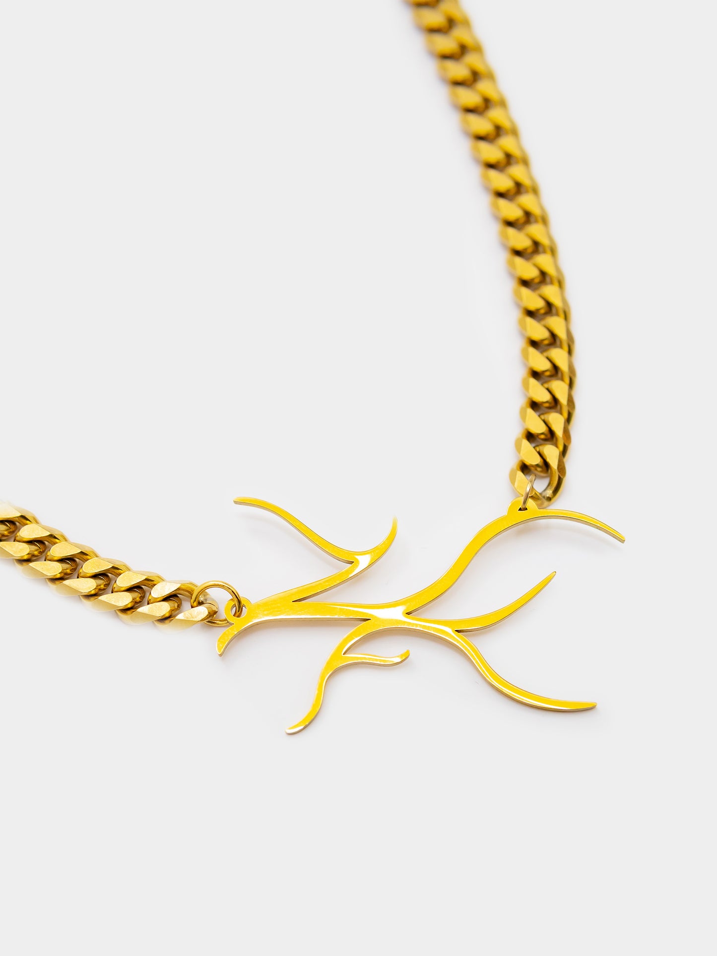 undeniable truth - necklace